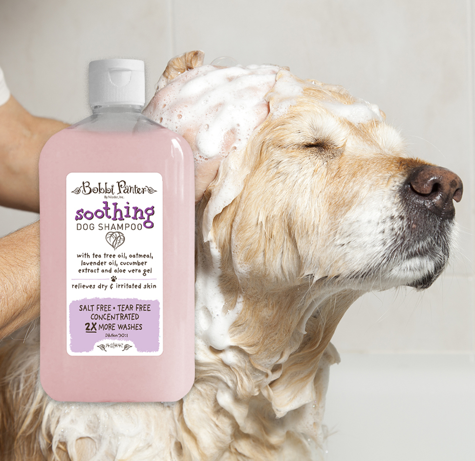 Bobbi panter deals soothing dog shampoo